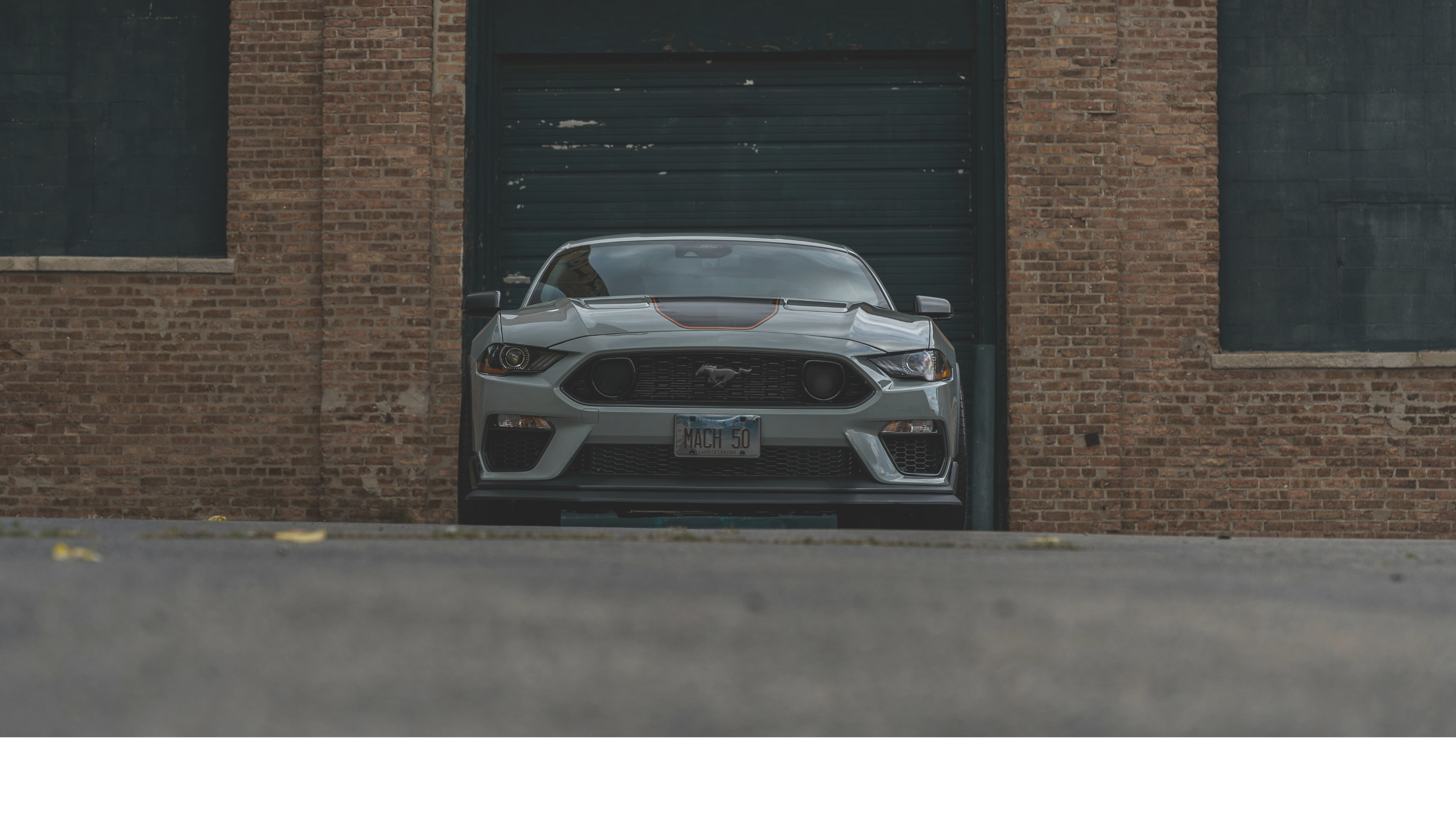 Describes the appearance of the image